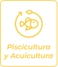 Piscicultura